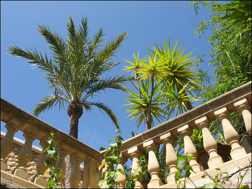 palmengesäumte Balustrade in Biniaraix