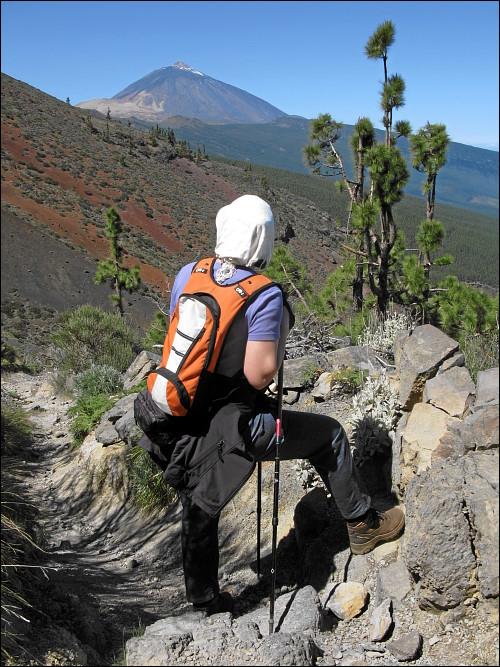 Blick auf den Teide