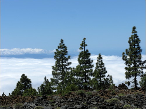 grandiose Aussicht von Montaña Samara aus