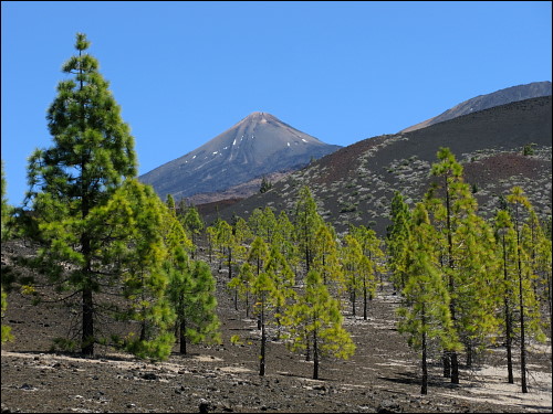 Blick auf den Teide