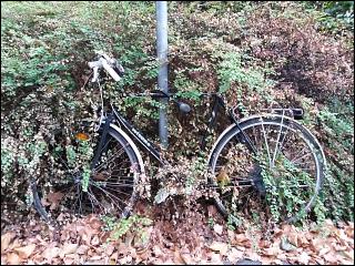 Fahrrad in Fürth (Bay)