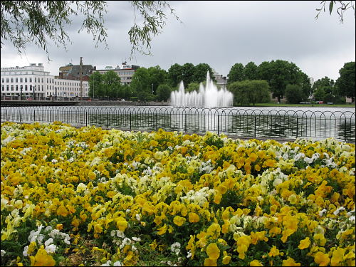 Blumenmeer in Eskilstuna