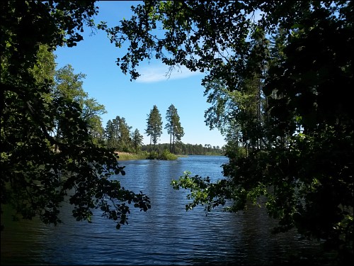 typisch schwedischer Seeblick