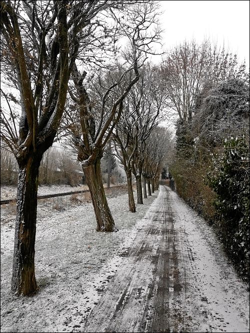 winterliche Impressionen aus Regensburg-Prüfening