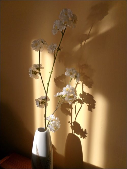 Künstliche Blüten im natürlichen Licht