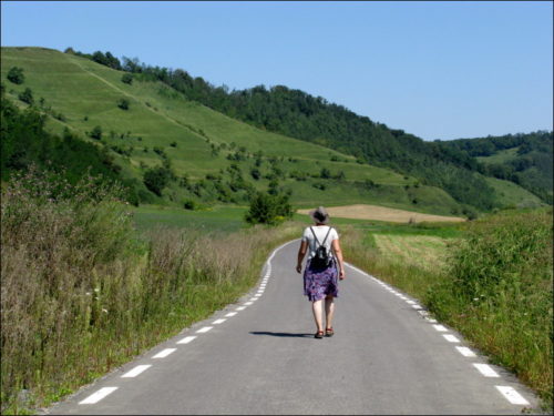 Mit EU-Mitteln erbaute Asphaltstraße im Nirgendwo