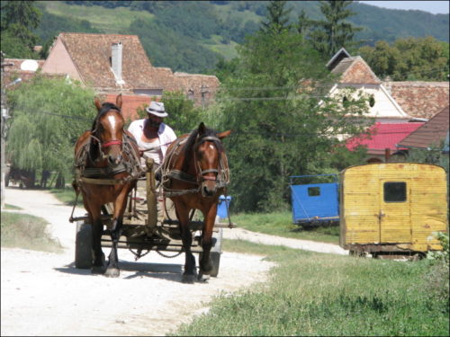 Pferdefuhrwerk am Ortsrand von Biertan (Bierthälm)