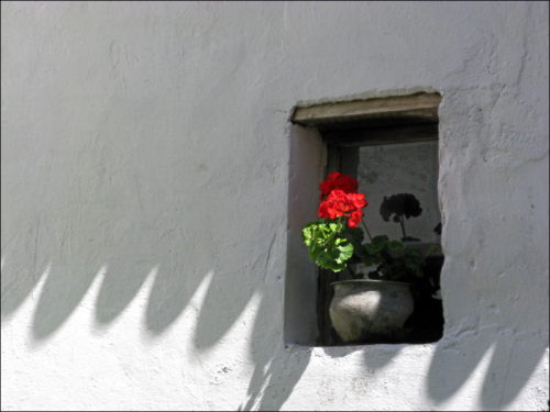 Blümerantes Spiel von Licht und Schatten