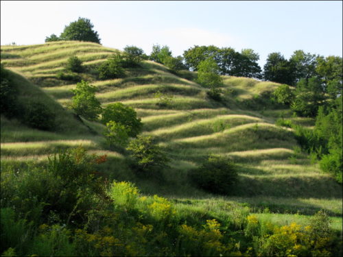 Ehemaliger Weinberg bei Richiș (Reichesdorf)