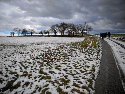 Winterliche Wanderung rund um die »Jägersburg« bei Bammersdorf