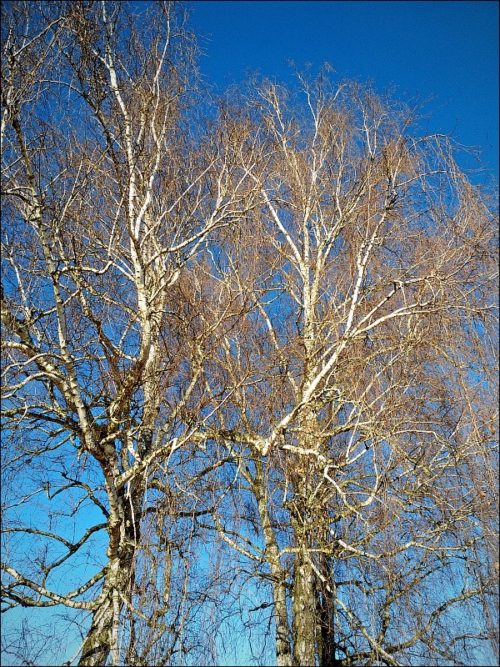 Impressionen aus dem Naturschutzgebiet »Hainberg«