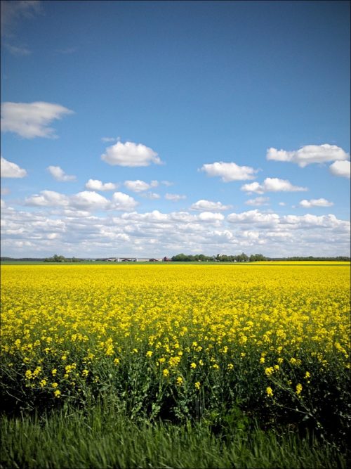 Impressionen aus Östergötland / Südschweden