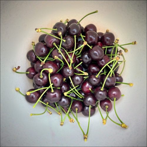 Abendliches Mitbringsel aus dem Schrebergarten