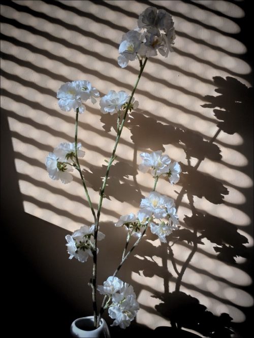 Künstlerisches Spiel mit Licht und Schatten