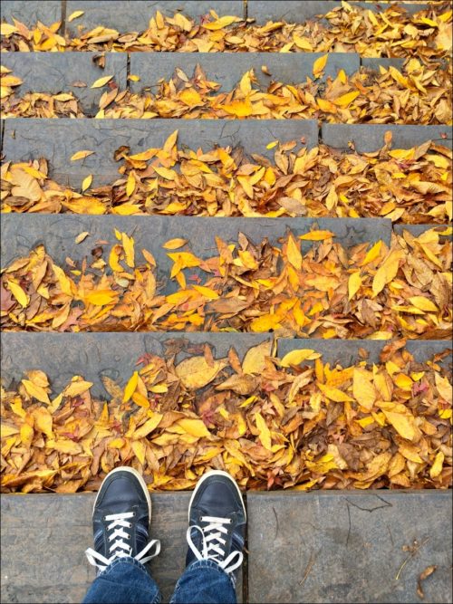 Impressionen aus dem herbstlichen Hamburg