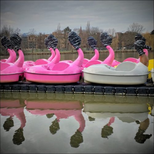 Flamingo-Treetboote beim Überwintern