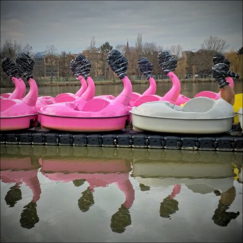 Flamingo-Tretboote beim Überwintern