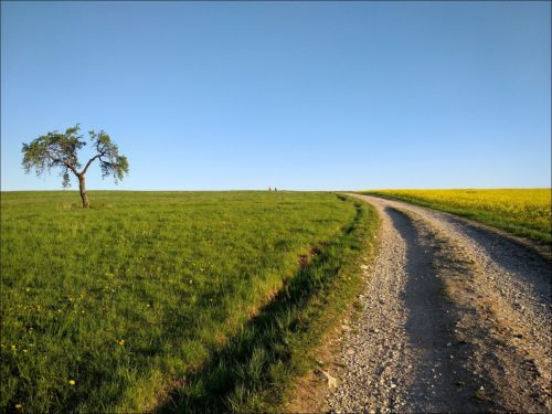 Feldweg bei Kirchröttenbach