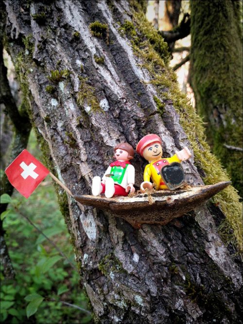 Unverhoffter Anblick bei einer Sonntagswanderung