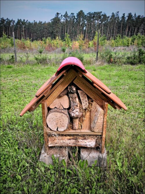 Nobles Insekten-Hotel am Wanderwegesrand