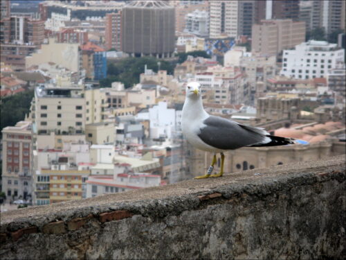 Impressionen aus Málaga