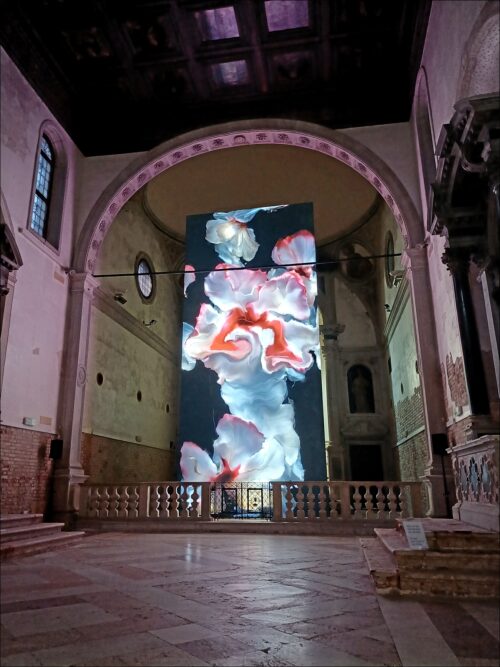 Impressionen aus Venedig und von der Kunst-Biennale 2024