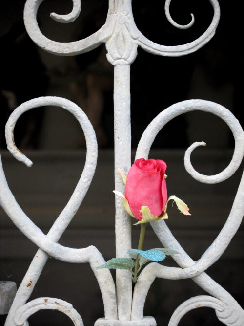 Impressionen aus Graz Impressionen aus Graz