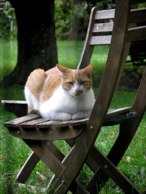 Impressionen aus Graz Impressionen aus Graz