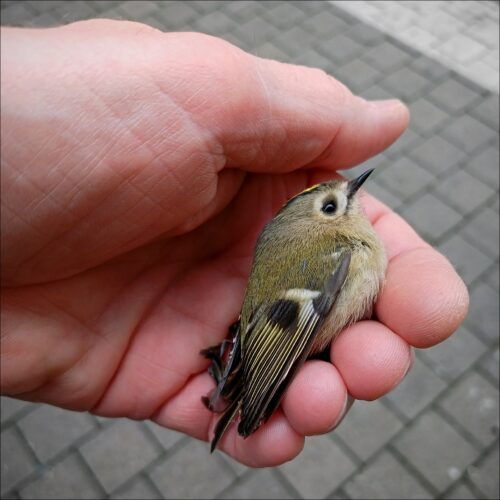 Impressionen aus Graz Impressionen aus Graz