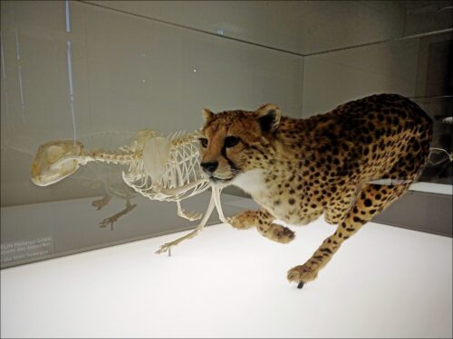 Impressionen aus Graz