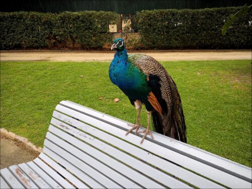 Impressionen aus Faro und anderen Orten der südlichen Algarve