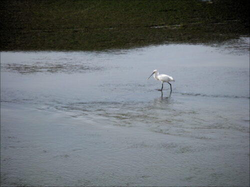 Impressionen aus Faro und anderen Orten der südlichen Algarve