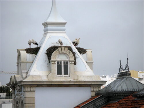Impressionen aus Faro und anderen Orten der südlichen Algarve