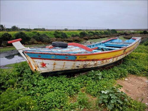 Impressionen aus Faro und anderen Orten der südlichen Algarve Impressionen aus Faro und anderen Orten der südlichen Algarve