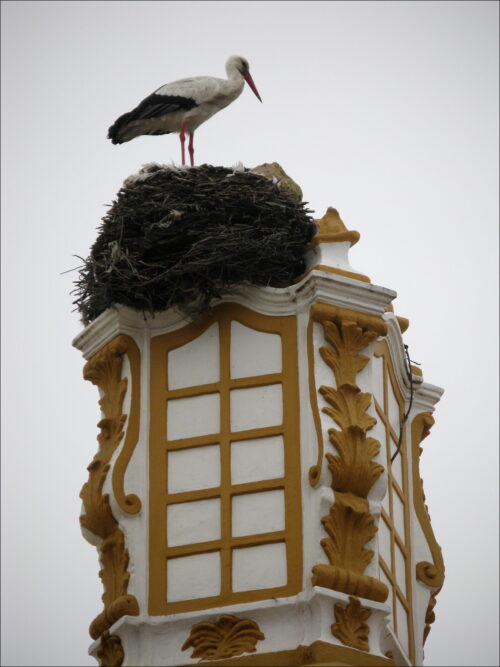 Impressionen aus Faro und anderen Orten der südlichen Algarve